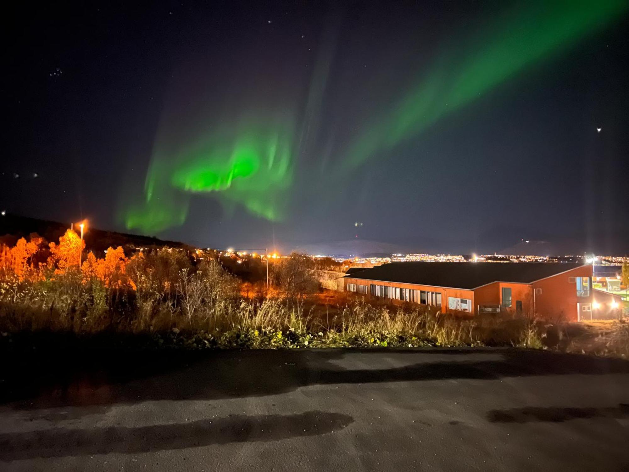 Aurora North Villa Tromsø Exteriör bild
