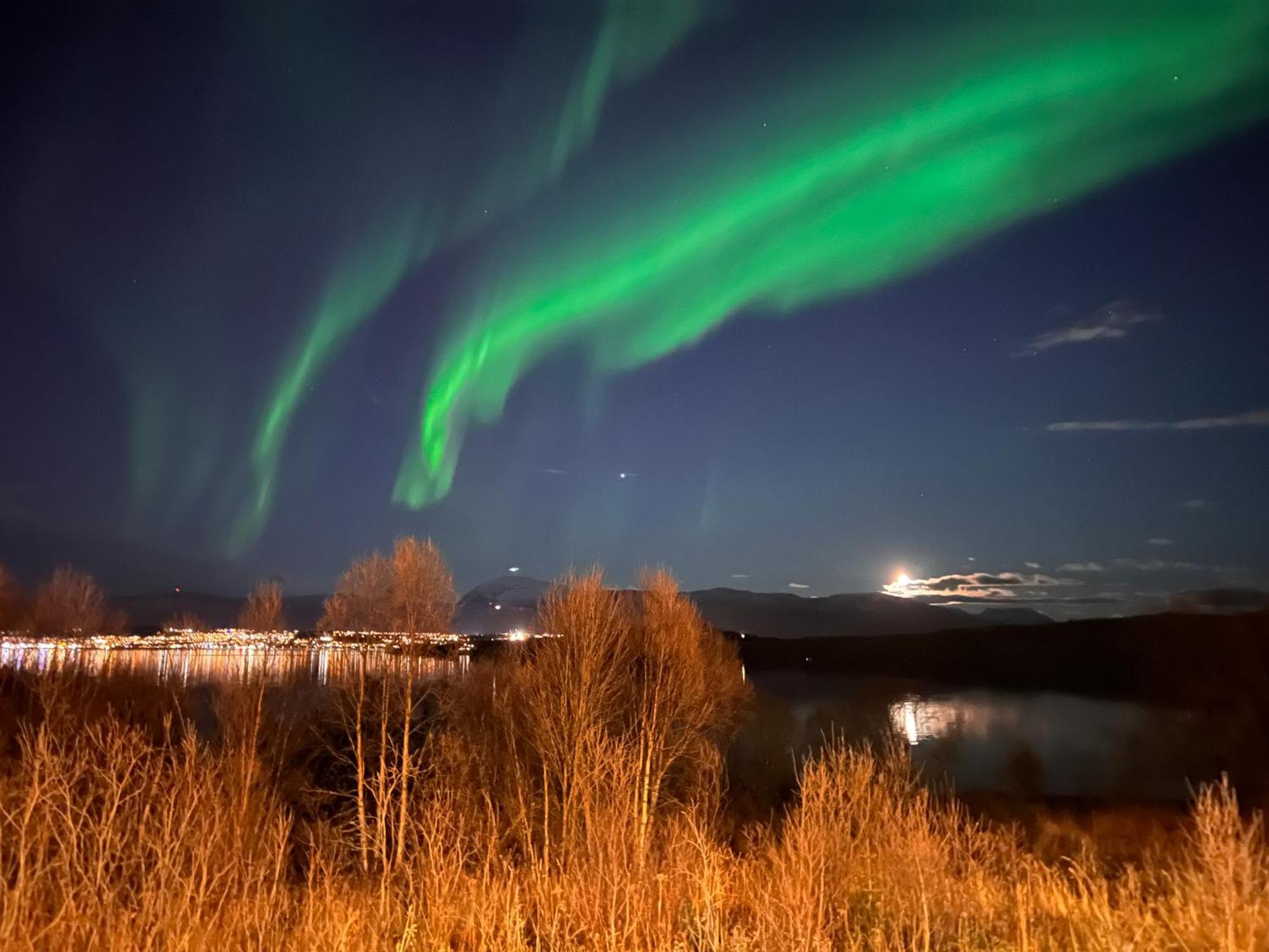 Aurora North Villa Tromsø Exteriör bild